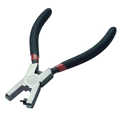 Version 1.0.0 Version 1.0.0