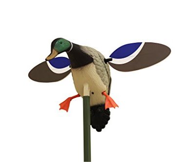 MOJO Outdoors Baby Mallard Drake Spinning Wing Decoy - Premium Waterfowl and Duck Hunting Decoy