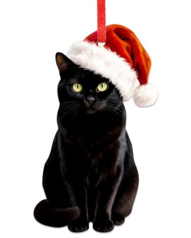 BIZIBAFF Black Cat Christmas Ornament - 2D Realistic Cats Ornaments for Christmas Tree - Acrylic Lifelike Kitten Ornament Decor, Gifts for Cat Lovers Women & Men Pet Memorial Keepsake