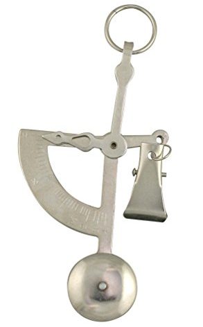 American Weigh Scales Manual Letter Postage or Kitchen Scale 100g x 1g, Mechanical Scale (Silver) Innovation Weighs