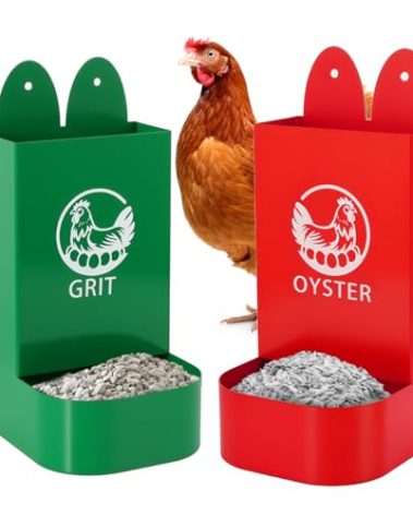 HUMUMU 2Pack Chicken Grit and Oyster Shell Feeder for Hens – US Patent Pending – Heavy-Duty Metal Chicken Feeder with Rounded Edges – Chicken Coop Accessories Improve Eggshell Quality and Hen Health
