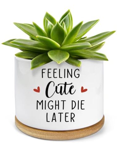 PWHINGN Feeling Cute Might Die Later Pot- Ceramic Engraved Succulent Aloe Cactus Planter Pot, Funny Indoor Plant Pots with Bamboo Tray for Mom Grandma Teacher Gifts(Plant Not Included)