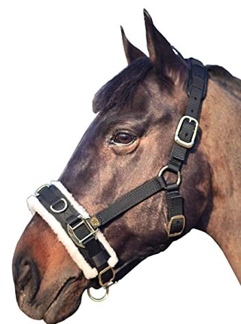 T TEKE Lunge Cavesson with Fleece Lined Nose Band and Crown