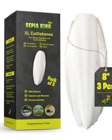 Sepia King - Extra Large - 100% Natural Calcium Supplement - Premium Cuttlebone Perfect for Birds, Tortoises, Snails, Reptiles - Pack of 3