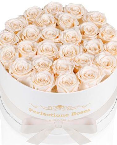 Perfectione Roses 27 Roses in a Box, Mothers Day Rose, Preserved Flowers for Her, Flowers for Delivery Birthday Gifts for Women (Buttermilk)