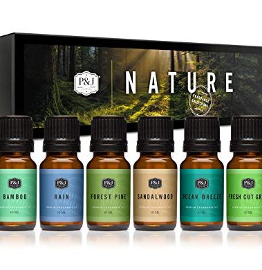 P&J Fragrance Oil Nature Set | Forest Pine, Ocean Breeze, Rain, Fresh Cut Grass, Sandalwood, and Bamboo Candle Scents for Candle Making, Freshie Scents, Soap Making Supplies, Diffuser Oil