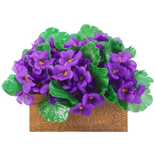 Version 1.0.0 Version 1.0.0