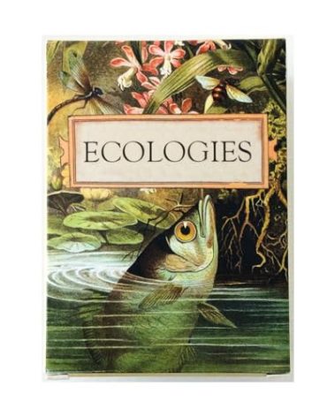 Montrose Biology Ecologies Card Game - Use Science to Build Food Webs in 7 Biomes - Beautiful Vintage Nature Art for The Classroom or Game Night