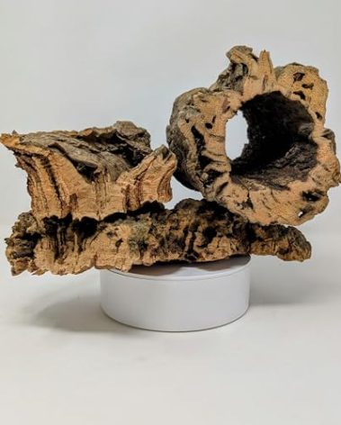 EZ Botanicals Virgin Cork Bark - for Orchids, Airplants, Reptiles, and Terrariums (8 Ounces), brown