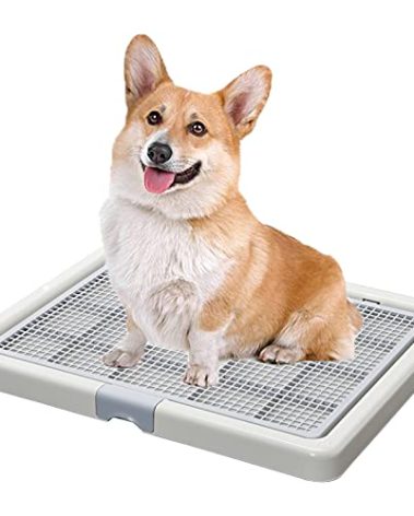 Smart Paws Corgi Potty Training Toilet,French Bulldog Training Tray,Pet Pads Holder,Dog Toilet 65X52CM