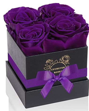 UFOREVER ROSES 4-Piece Preserved Roses in a Box, Preserved Flowers, Roses Gift for Her, Purple