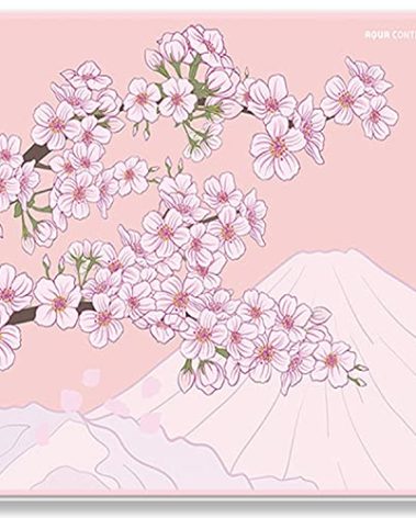 X-Raypad Aqua Control 2 Gaming Mouse Pad, Ultra-High Precision Mouse Pad with Perfect Speed and Control Capability, Consistent X and Y Glide, Designed for Fps Players with Low DPI Requirements