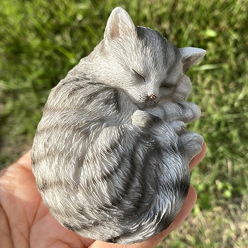 Version 1.0.0 Version 1.0.0