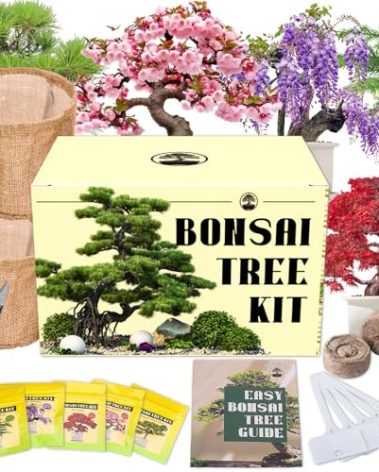 5 Types Bonsai Tree kit - Bonsai Starter Tools Set with Soil, Pots, Scissor, Plant Makers, Grow Tree Indoor, Beginner Plant Gifts for Home Garden, Women, Men