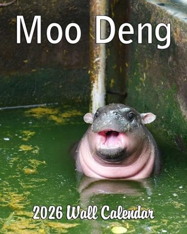 2026 Moo Deng Monthly Wall Calendar | Pygmy Hippopotamus Animal Calendar 2025-2026