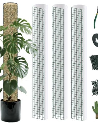 DIY Moss Poles Plastic Monstera Plant Support Self Watering Plant Poles for Climbing Indoor Plants Work with Sphagnum Moss(12 ft D Shaped Translucent Plant Pole)