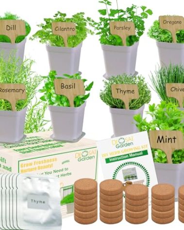 Indoor Herb Garden Kit, 9 Non-GMO Seeds with Reusable Pots, Planter – DIY Grow Kits for Growing Herbs Indoors, Kitchen, Balcony, Window Sill with 27 Soil