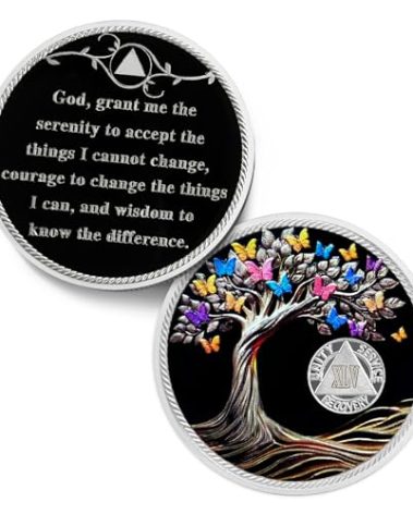 Delicate 45 Year Sobriety Coin - Recovery Butterfly Tree of Life AA Coins - 45 Year NA HA AA Chips and Medallions - 1-62 Years Living Clean Narcotics Alcoholics Anonymous Gifts for Men Women
