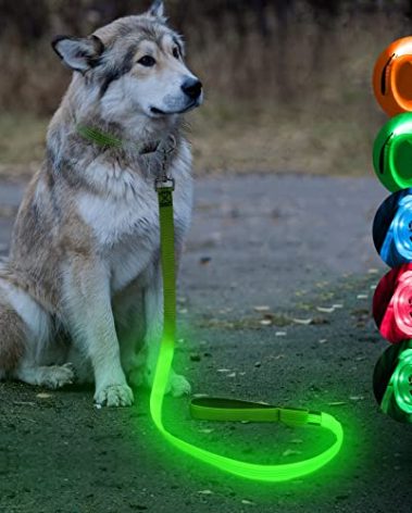 Candofly Glowing LED Dog Leash, Rechargeable Pet Leash with Lights, 4 Ft Light Up Dog Leash for Night Walking Keep Your Pets Visible (Neon Green)