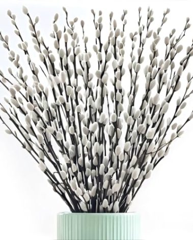 Oning 60 Stems 17＂Real Dried PussyWillow Branches for Vase, Natural PussyWillows with White Flowers, Snow Willow Branches for Indoor and Outdoor Decor, Wedding Home Party Hotel Fireplace Yard