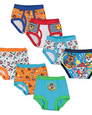 Paw Patrol Potty Training Starter Kit includes Training Pants, Underwear & Success Chart sizes 2T, 3T and 4T