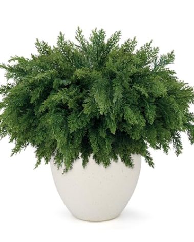 Wsorik 18 Inch Real Touch Cedar Branches - 16 Pcs Artificial Christmas Plants Branches, Faux Greenery Pine Stems Fake Cedar Picks for Vase DIY Crafts, Christmas Pine Branches for Home Indoor Decor