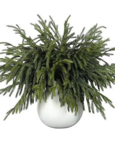 32 Pcs Real Touch Norfolk Pine Branch -18" Artificial Christmas Green Plants Branches Faux Greenery Stem Fake Cedar Pine Picks for Vase DIY Crafts Garland Wreath Xmas Indoor Outdoor Home Decor