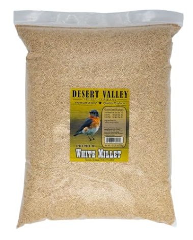 Desert Valley White Millet Seed, All Natural, Non-GMO Premium Wild Bird Food for Cardinals, Finch, Song Birds, Buntings and More (10 Pounds)