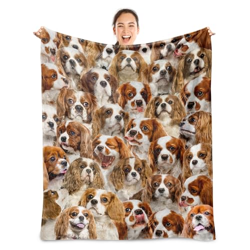 Version 1.0.0 Version 1.0.0