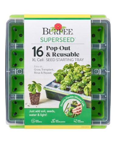 Burpee SuperSeed Seed Starting Tray | 16 XL Cell | Reusable & Dishwasher Safe | for Starting Vegetable Seeds, Flower Seeds & Herb Seeds | Indoor Grow Kit for Deep-Rooted Seedlings, Green