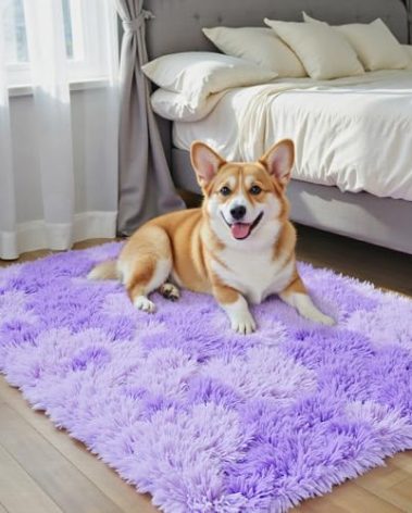 Small Rug Throw Rugs for Bedroom, Mini Area Rug, Fluffy Purple Carpet, Affordable Door Entryway Indoor Inside Front Entrance Dog 2x3 Mat, Home Decor Aesthetic(2 x 3, Purple Starry)